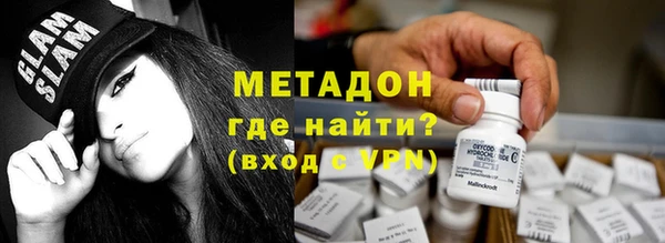 индика Алексин