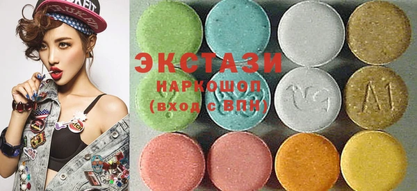 индика Алексин