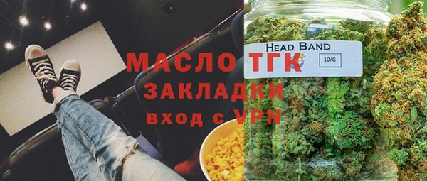 индика Алексин