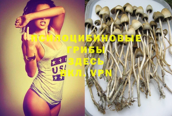 скорость Лиски