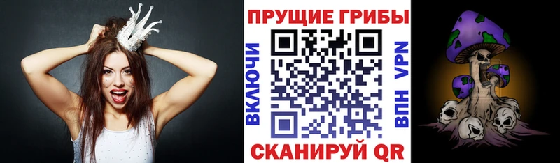 Галлюциногенные грибы прущие грибы  Большой Камень 